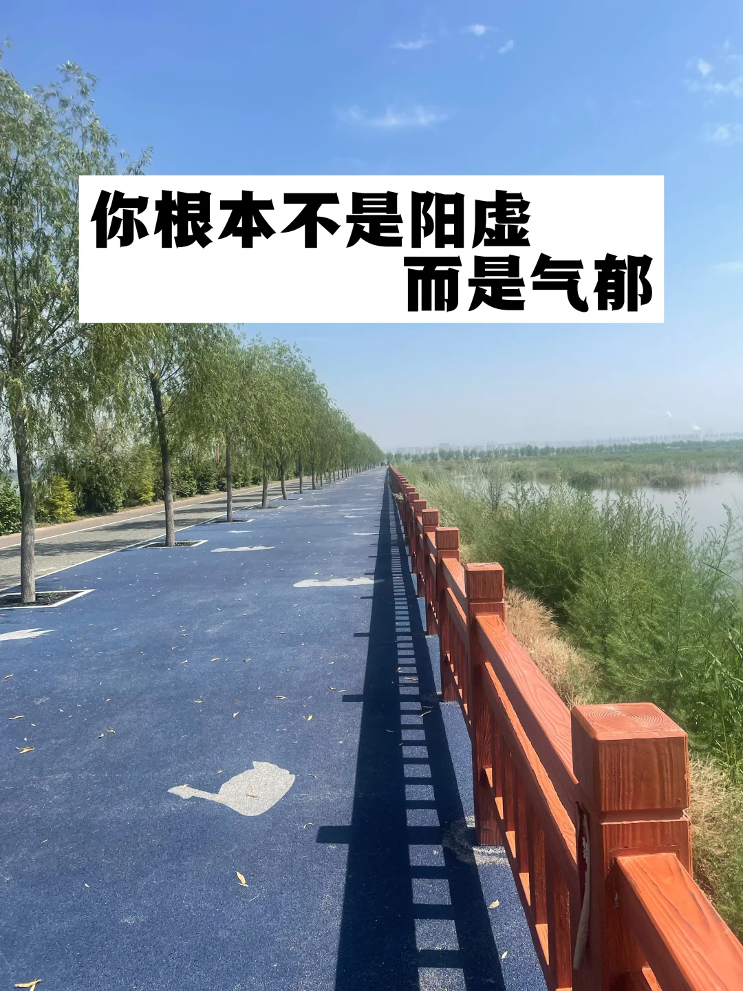 你根本不是阳虚，而是气郁！