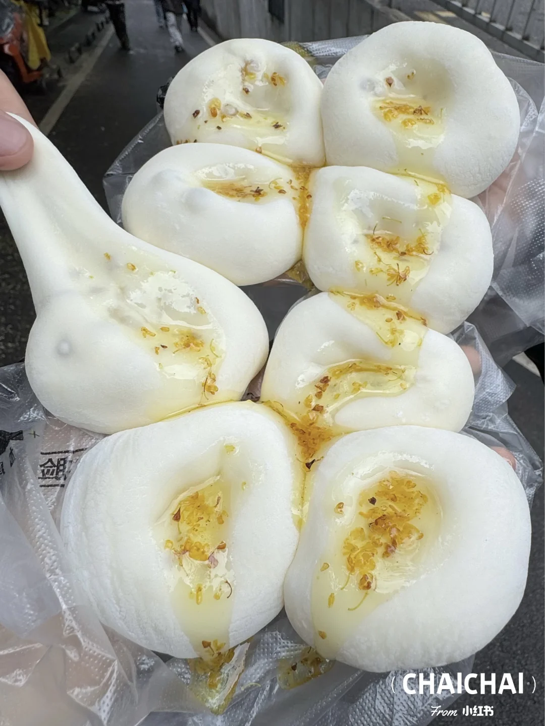 青岛，🥹🥹吃完用一生怀念的。。。。