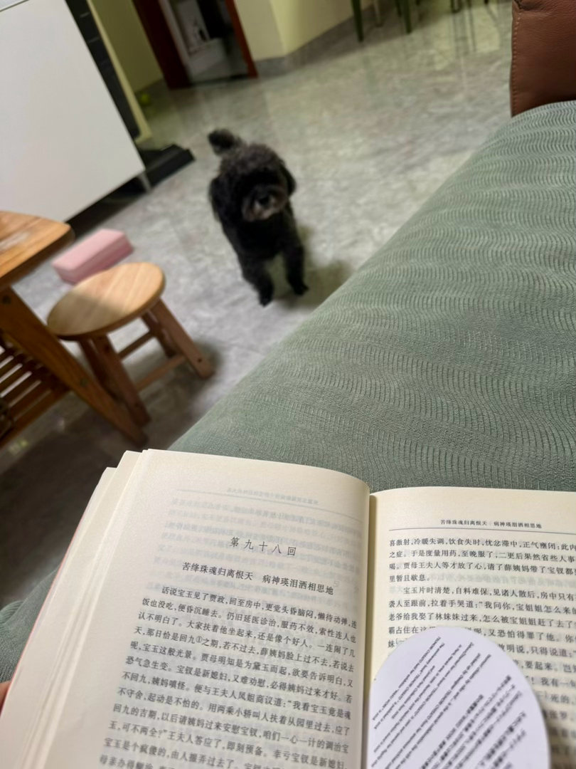 老片《我是山姆》。感动，真的感动。
 
红楼梦快看到黛玉之死了。后四十回，忍不了一点。
 
该坠崖的剧情突然刹车，贾母白哭，咸菜上桌，林丫头乱喊，金玉良缘狗血开演。
 
曹公，您复活吧，我给您磕一个。 ​