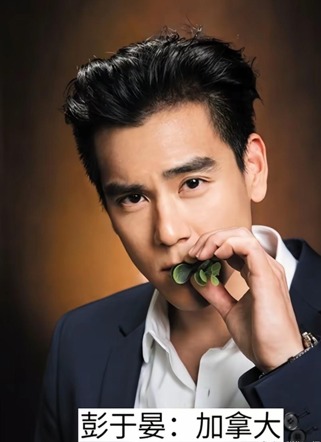 听了二十年林俊杰和孙燕姿的歌，很多人至今都还没反应过来，这两位其实打从一开始就是纯正的新加坡人。
咱们这边的文化市场包容度确实大，很多面孔在电视荧幕上天天见，大家下意识就当成了“自家人”。等哪天偶然翻到百科资料，才猛然发现对方的护照颜色完全不同。
像靠硬汉角色红透半边天的彭于晏，还有唱火了《体面