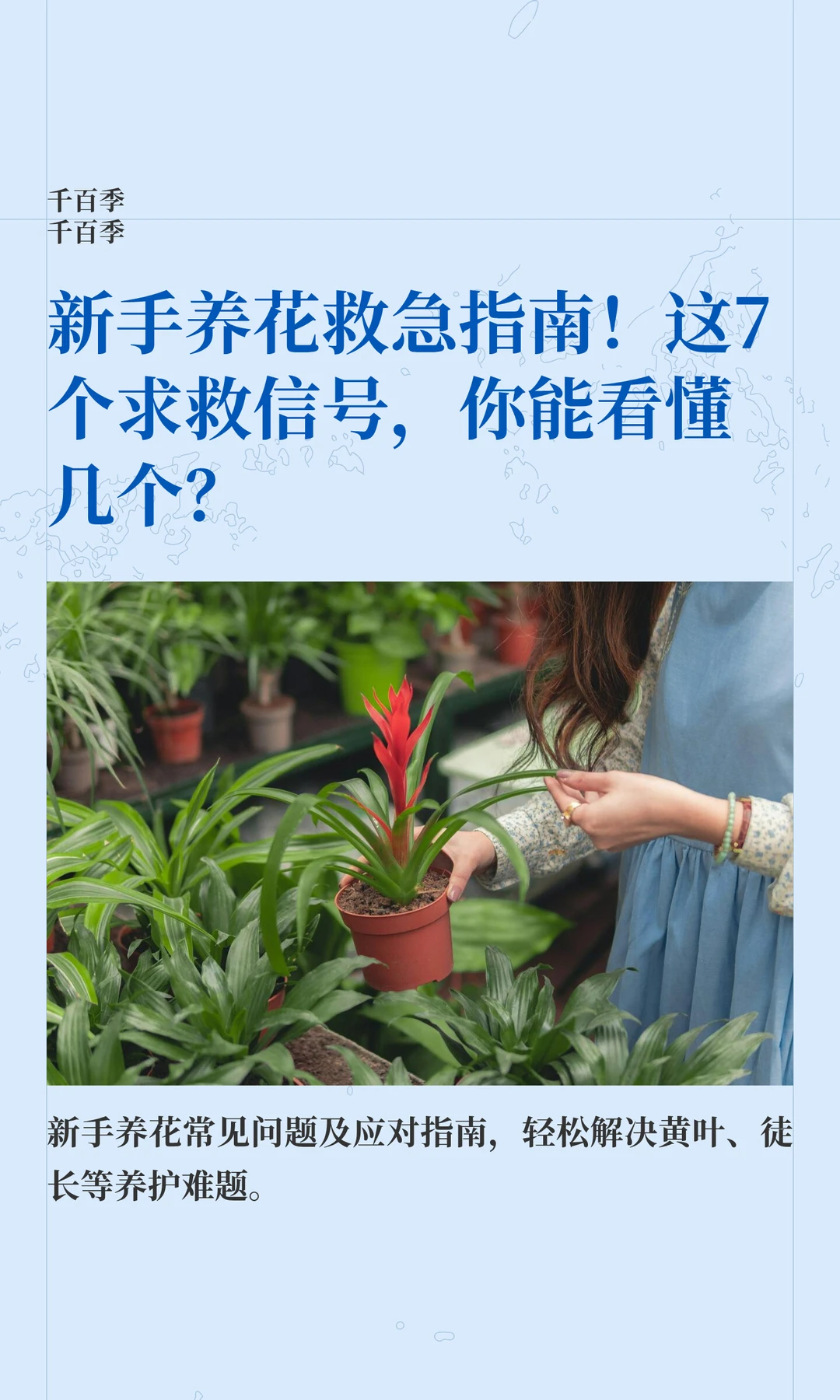 新手养花救急指南！这些求救信号你能看懂吗