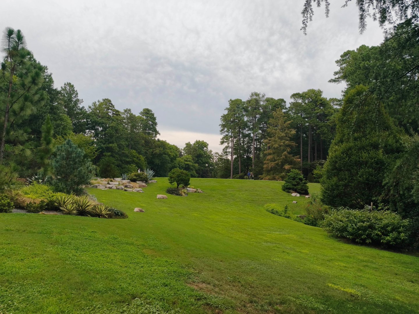 莎拉·杜克花园满眼苍翠
莎拉·杜克花园（Sarah P. Duke Gardens）是位于美国北卡罗来纳州达勒姆（Durham）杜克大学校园内著名的公共植物园，占地约55英亩。
​四大主题园区： 包含历史悠久的亚历山大·黑塞自然花园（Historic Core）、展示亚洲植物的朱庇特亚洲植物园（Culberson Asiatic Arboretum）、 ​