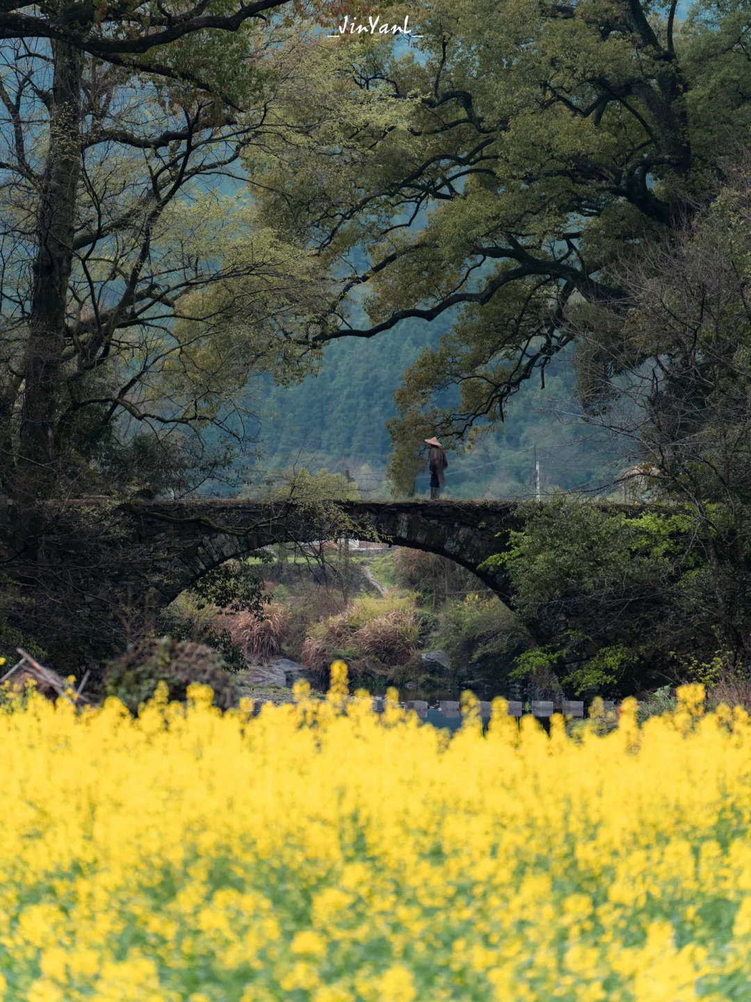 国内春色天花板‼️夸爆婺源这个小众避世古村