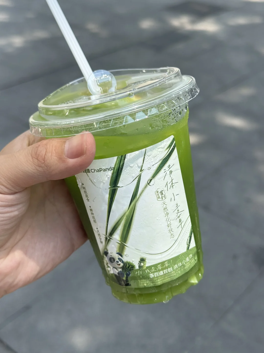 弥补了人类不能吃猫草的遗憾………