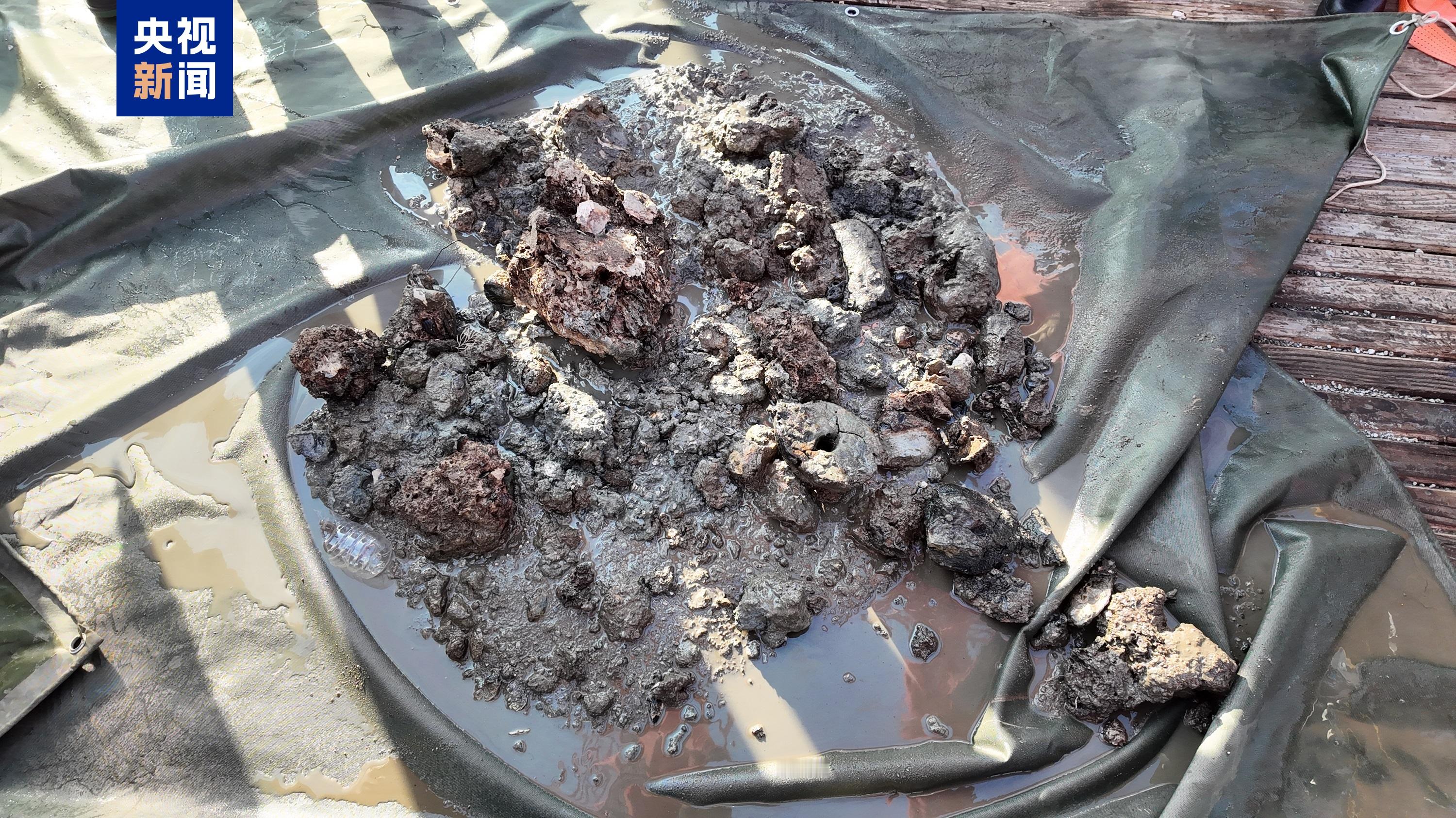 大喜！我国在太平洋海底发现大型矿区：金银含量奇高，远超大多数陆地矿山！
这个消息真实可靠，我国的确在太平洋海底发现了大型矿区，目前科研人员已经得到部分采集样品的初步分析结果，数据显示：
被检测矿石中的金银含量远超陆地上的大部分矿山，矿石中伴生金、伴生银的最高含量分别达到15.4ppm和1271ppm