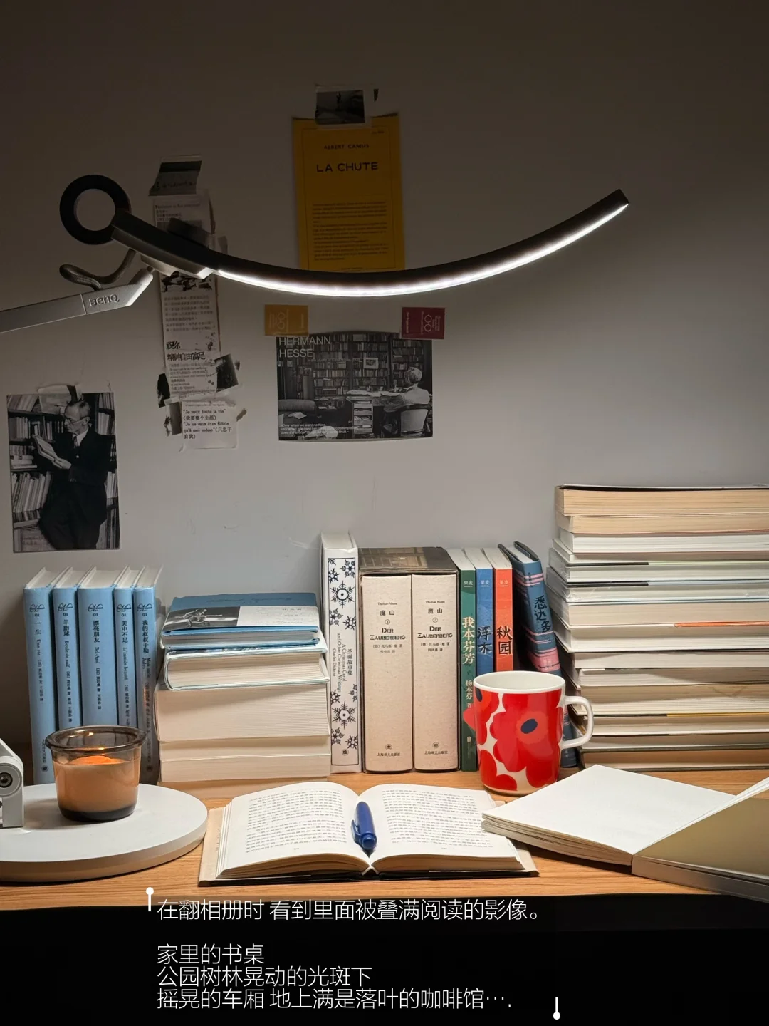 不社交 就这样不停不停地看书。