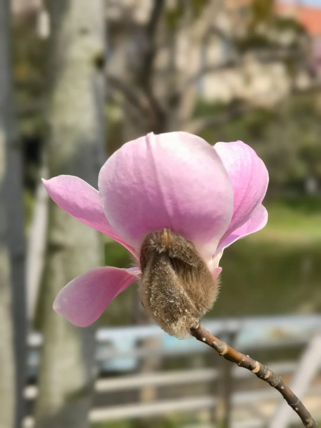 马上要到过敏性结膜炎高发季节了，大家要注意如果只是感觉到眼睛有轻微的瘙痒，要做好