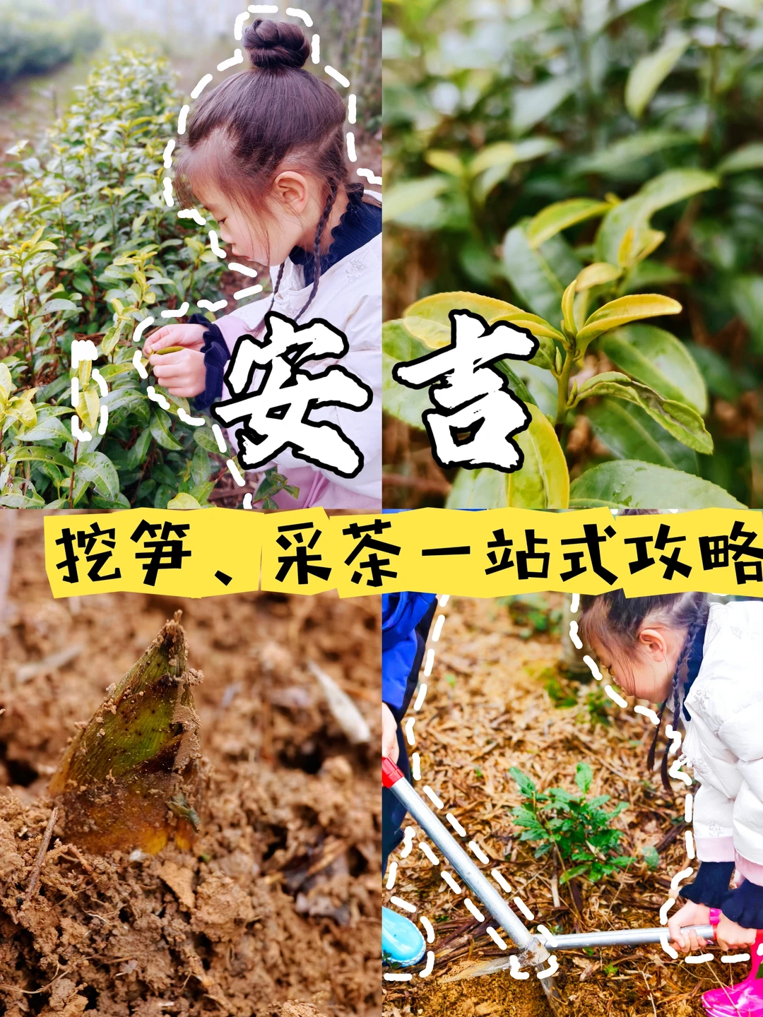 春天就要上春山🌱Live实况‼️笋子开挖啦