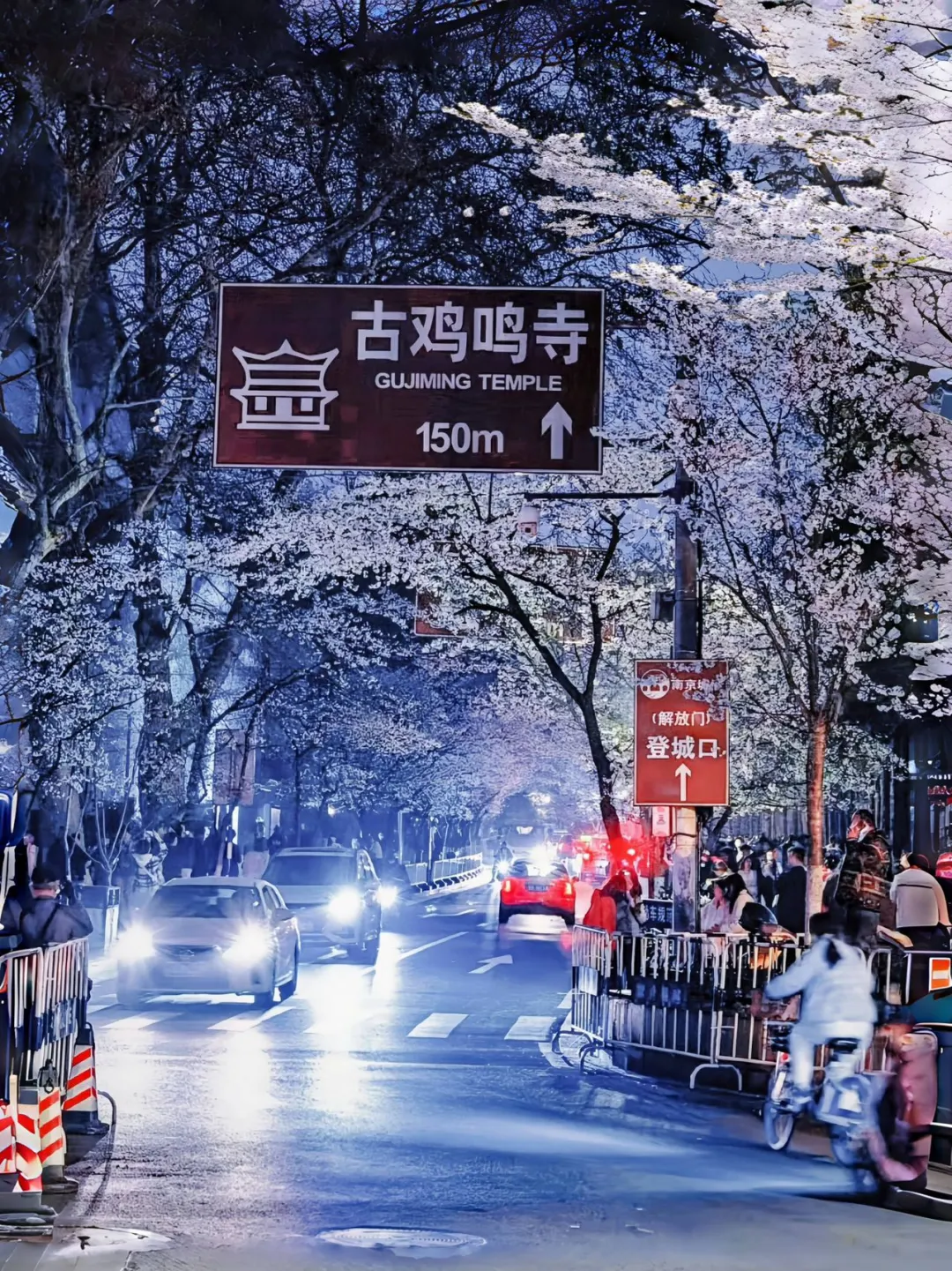 人生to do list，去鸡鸣寺看夜樱🥹🥹