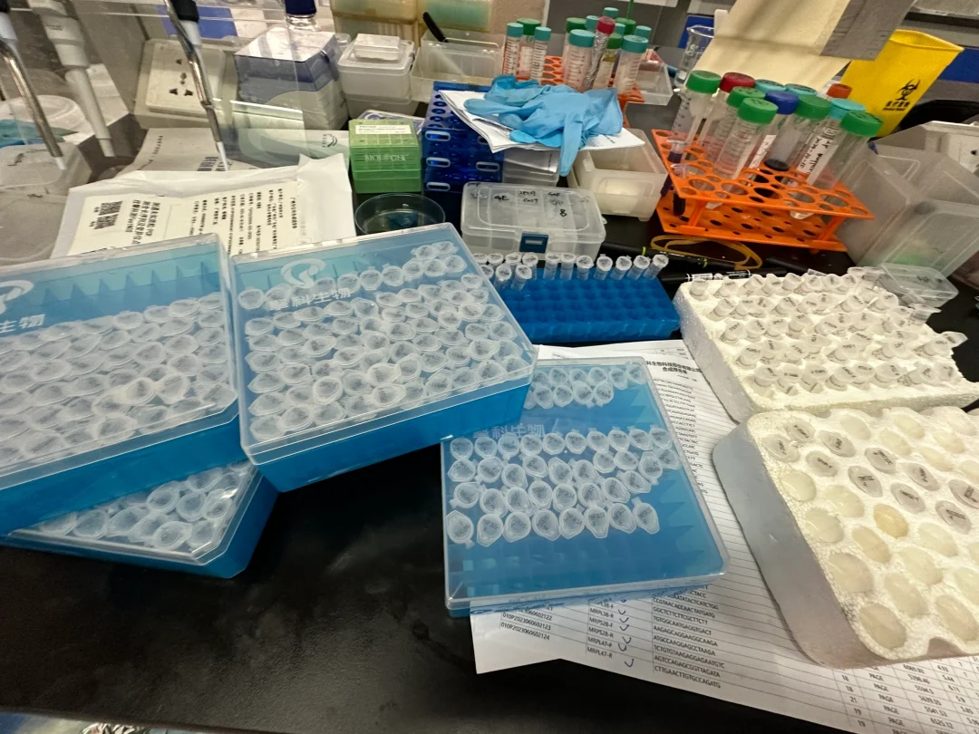 筛出来60个gene 再继续验证