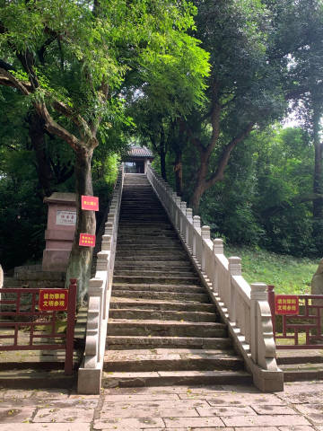 分享图片
