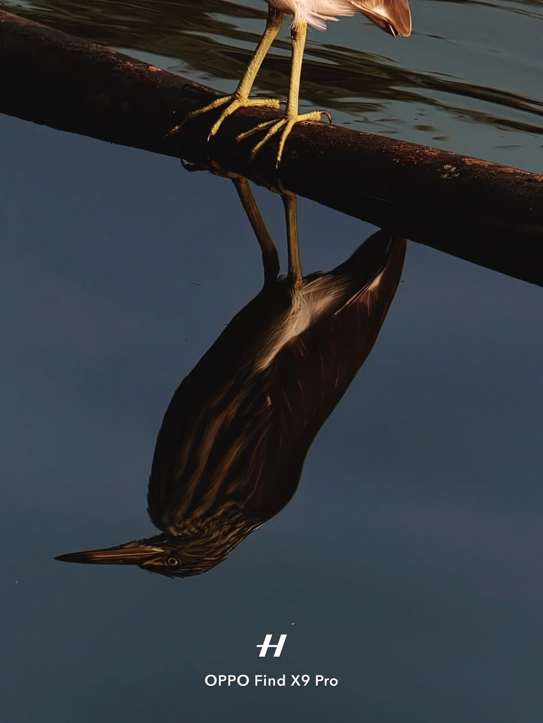 终于知道这种秋冬氛围感滤镜怎么调了‼