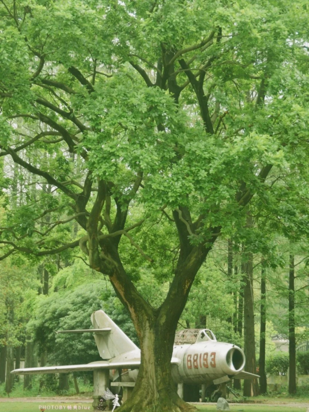 武汉小众拍照‖这个天然氧吧拍照圣地太可了