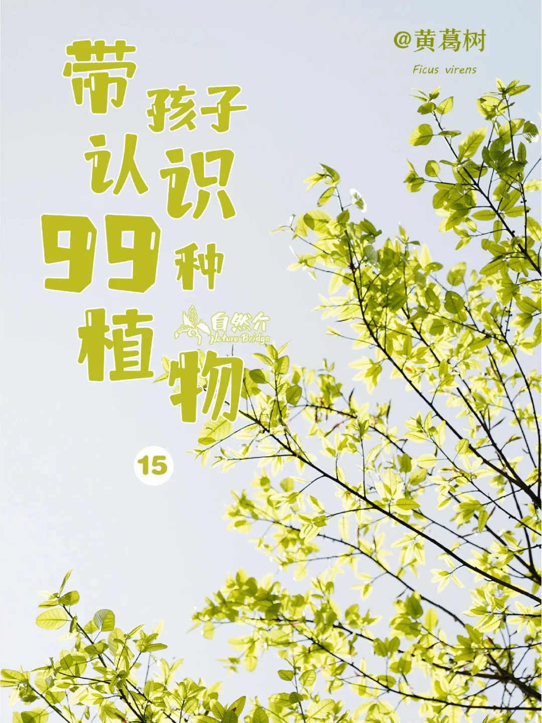 带孩子认识99种植物