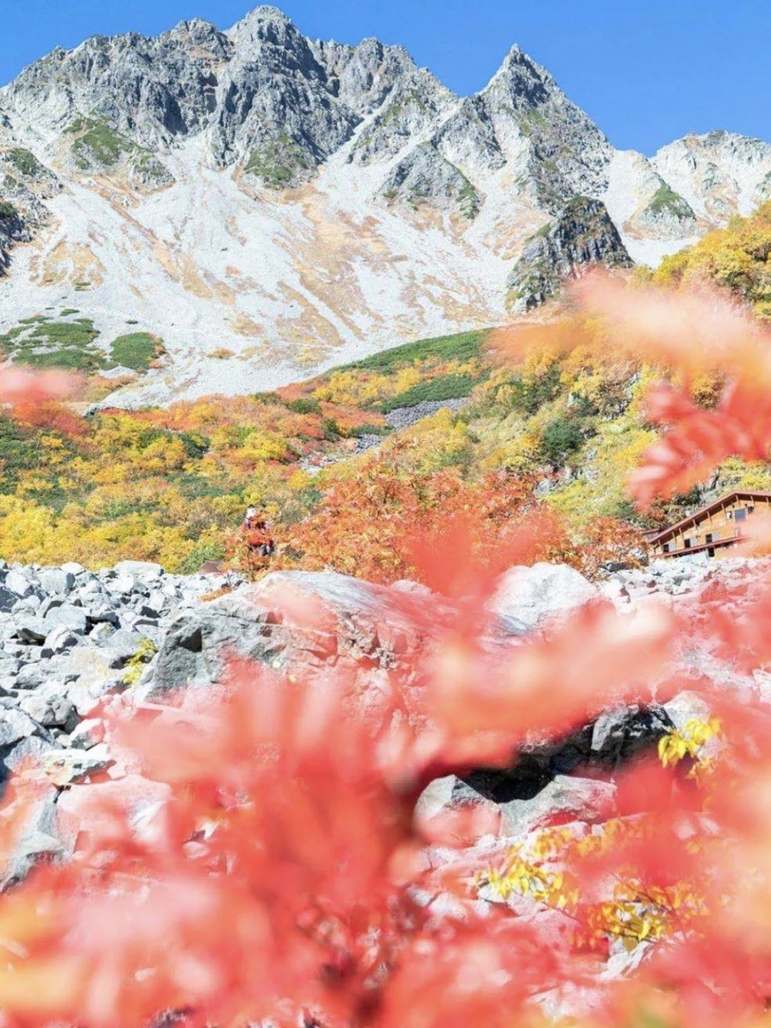 日本长野县|诗和远方都有了！涸泽红叶