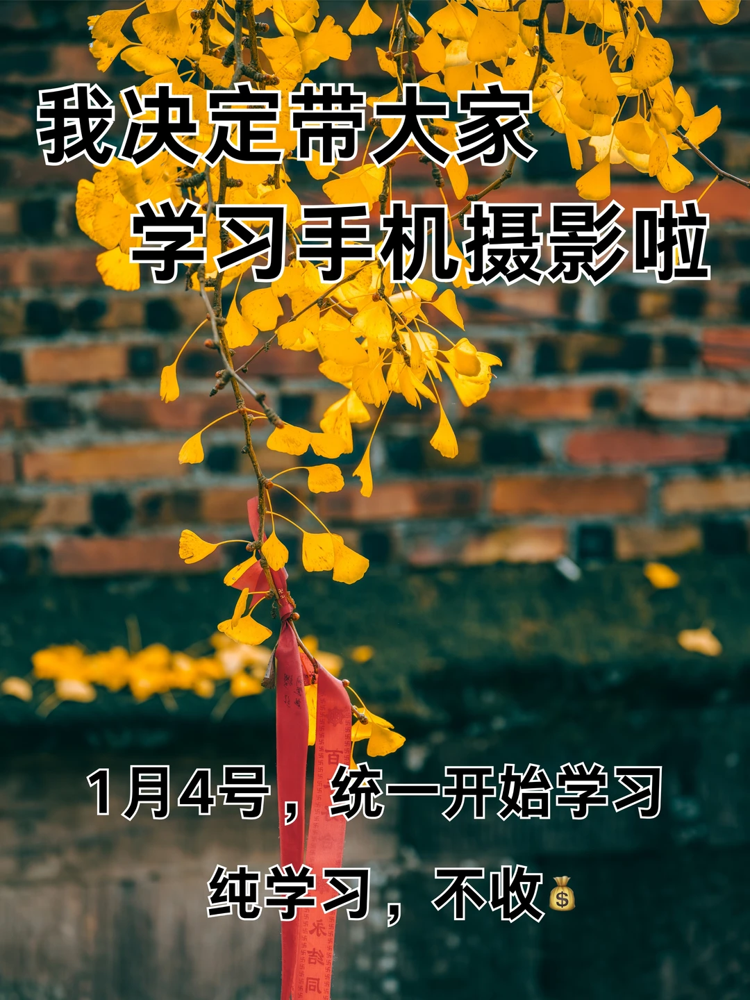 我决定带大家学习手机摄影啦！！