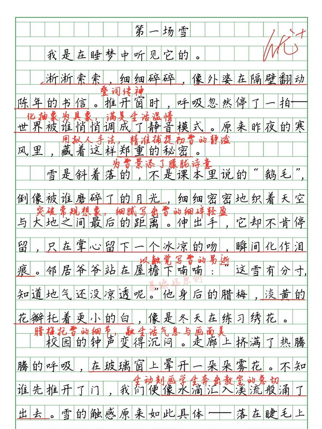 🔥优秀作文批改《第一场雪》