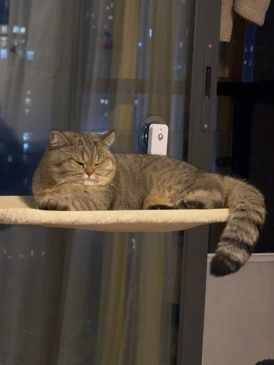 此女子，气质非凡