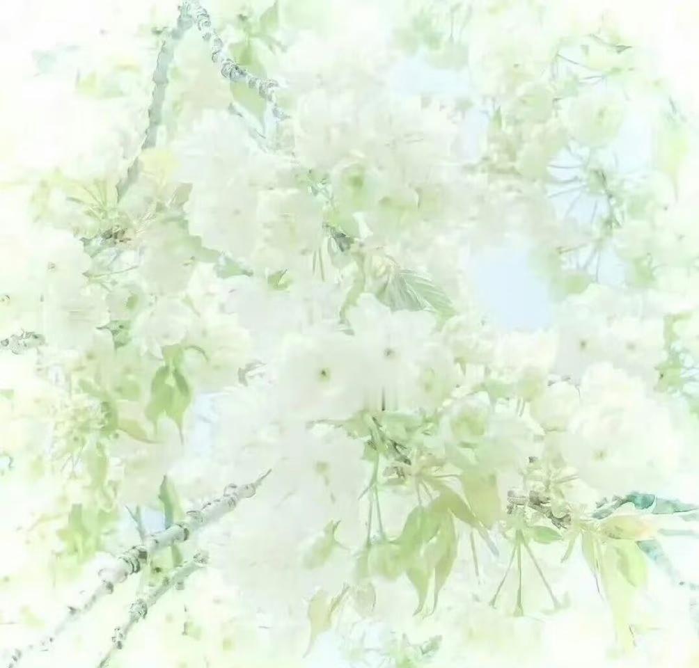 💚幸福是无数个微小而具体的瞬间 ₍ᐢ‥ᐢ₎ ♡
            🎤🍃我の小世界ı|ııı|ı|☆₊⁺🦴₊⁺

               属性

          📷˚₊·✧୨୧相册锁死你们每一个耀眼瞬间     
                              ˚✩ꕀ⊂(˃̶͈̀ε ˂̶͈́ ⊂ )

     ₊ ˚ ​