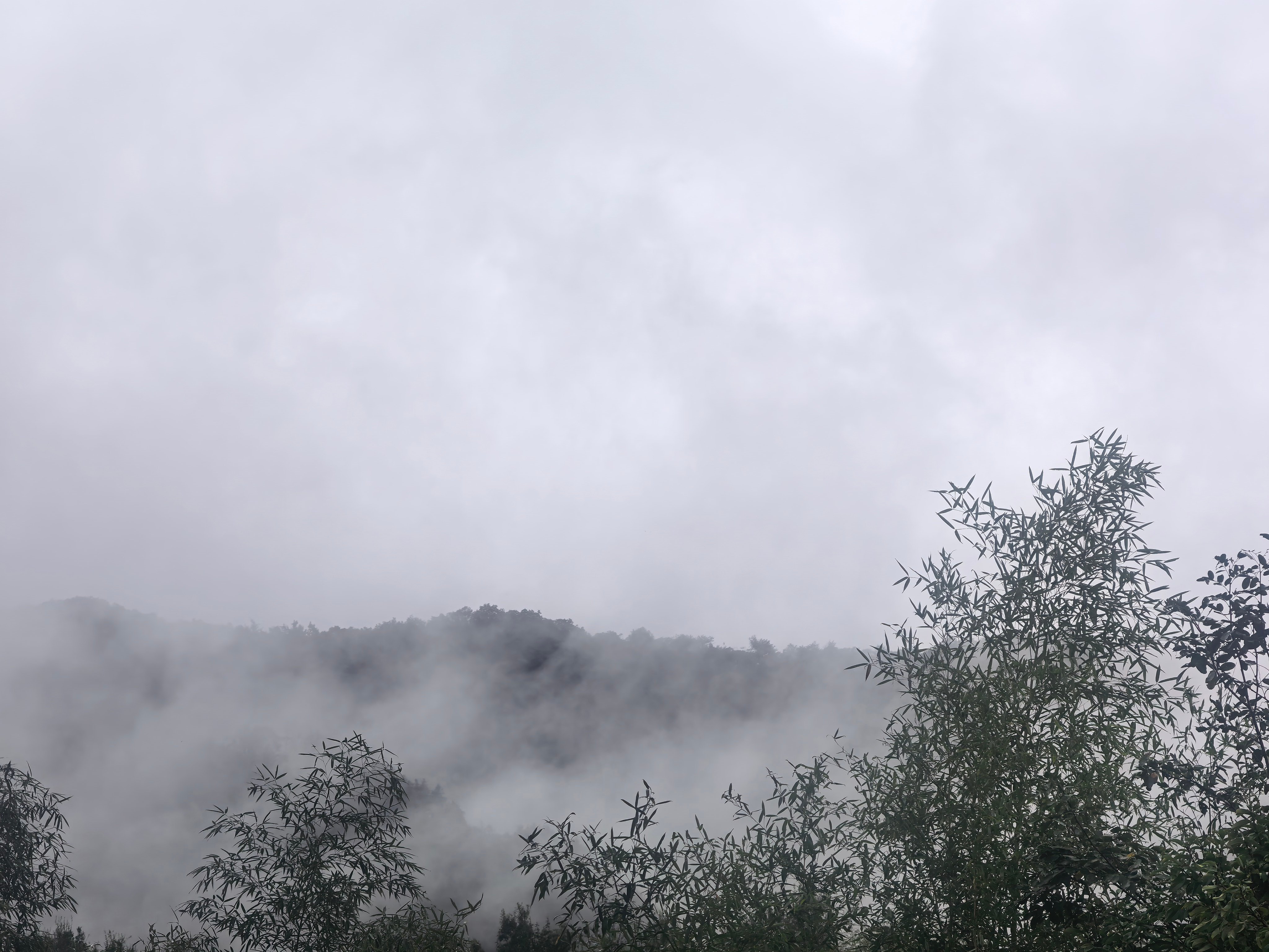 漫行草木间 今年的秋天，雨下个不停的，温度也降到了1字头，真的开始冷了；遇见美好 一场秋雨一场凉，雨后的特点是“外湿”加重、气温骤降，身体最容易被湿气和凉气趁虚而入；这时候先把脾胃护住、把寒气挡在外面，比吃什么大补的东西都关键；人间烟火 秋天饮食应以滋阴润燥、温补脾胃为主，多吃新鲜蔬果、根茎类食材以及温和滋补的食物，以增强抵抗力，帮助身体适应季节变化；滋阴润燥的食物，常见的有百合、莲子、蜂蜜、银耳、梨、莲藕等，温补脾胃的食材有山药、栗子、红薯、南瓜等；风起云散 俗话说“伤春悲秋”，秋天人们的情绪不稳定，容易出现烦躁或悲伤的情绪，这时可以多参加户外活动，享受阳光缓解忧郁；