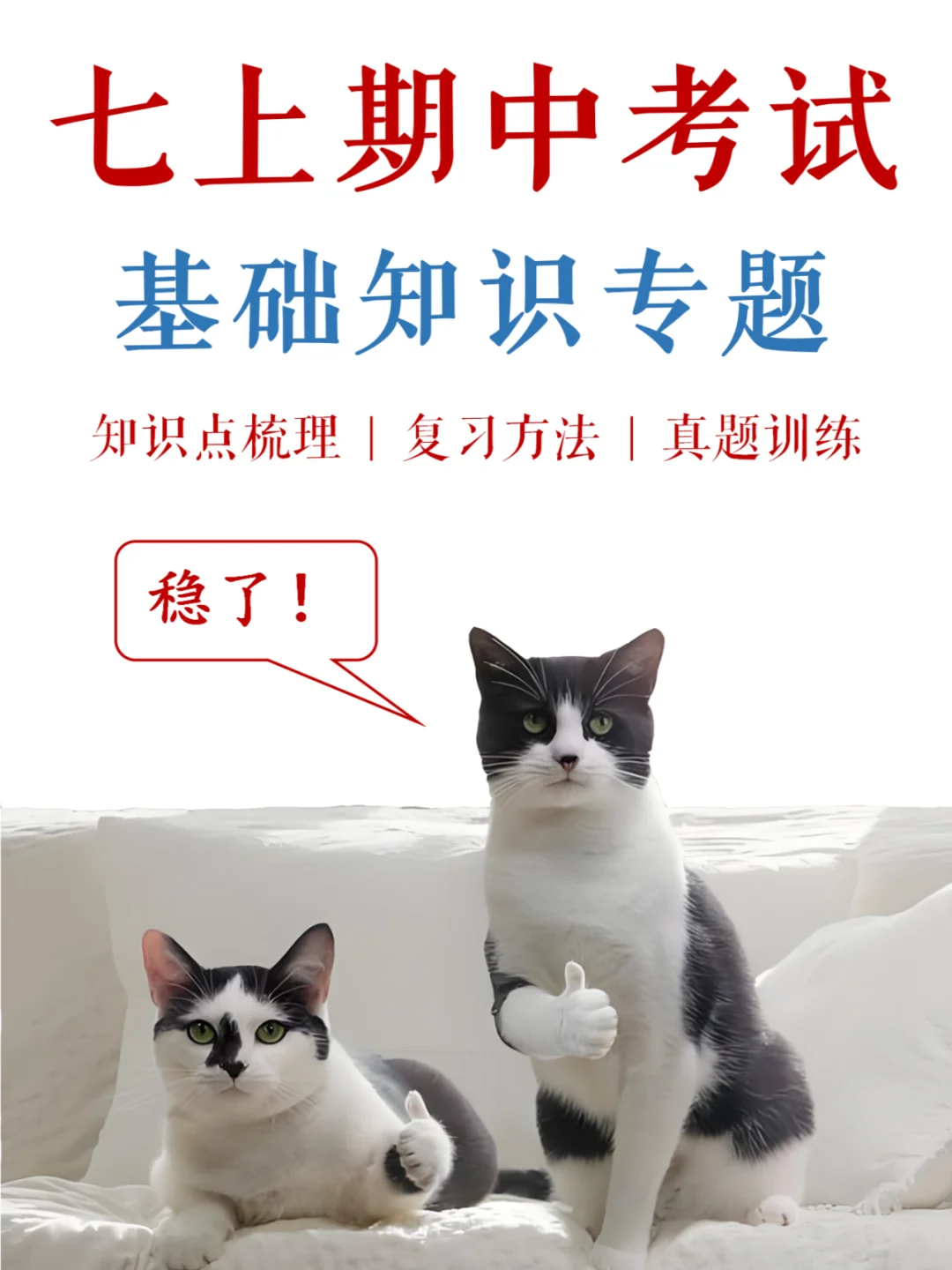 七上期中，基础知识考点梳理，送分❗