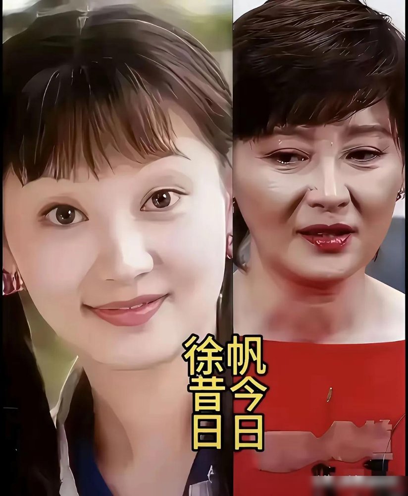 鞠萍退休了，42年，整整42年。
你脑子里是不是还是那个微胖、短发、笑眯眯的鞠萍姐姐？翻出80年代旧照，人直接傻了，清瘦，高挑，那张脸搁现在能直接出道。跟《外来妹》里的陈小艺站一块儿，一点不输。
《七巧板》最火的时候，收视率23%，一年收6000多封信。家里攒了80多个档案袋，全是小孩写的。她说