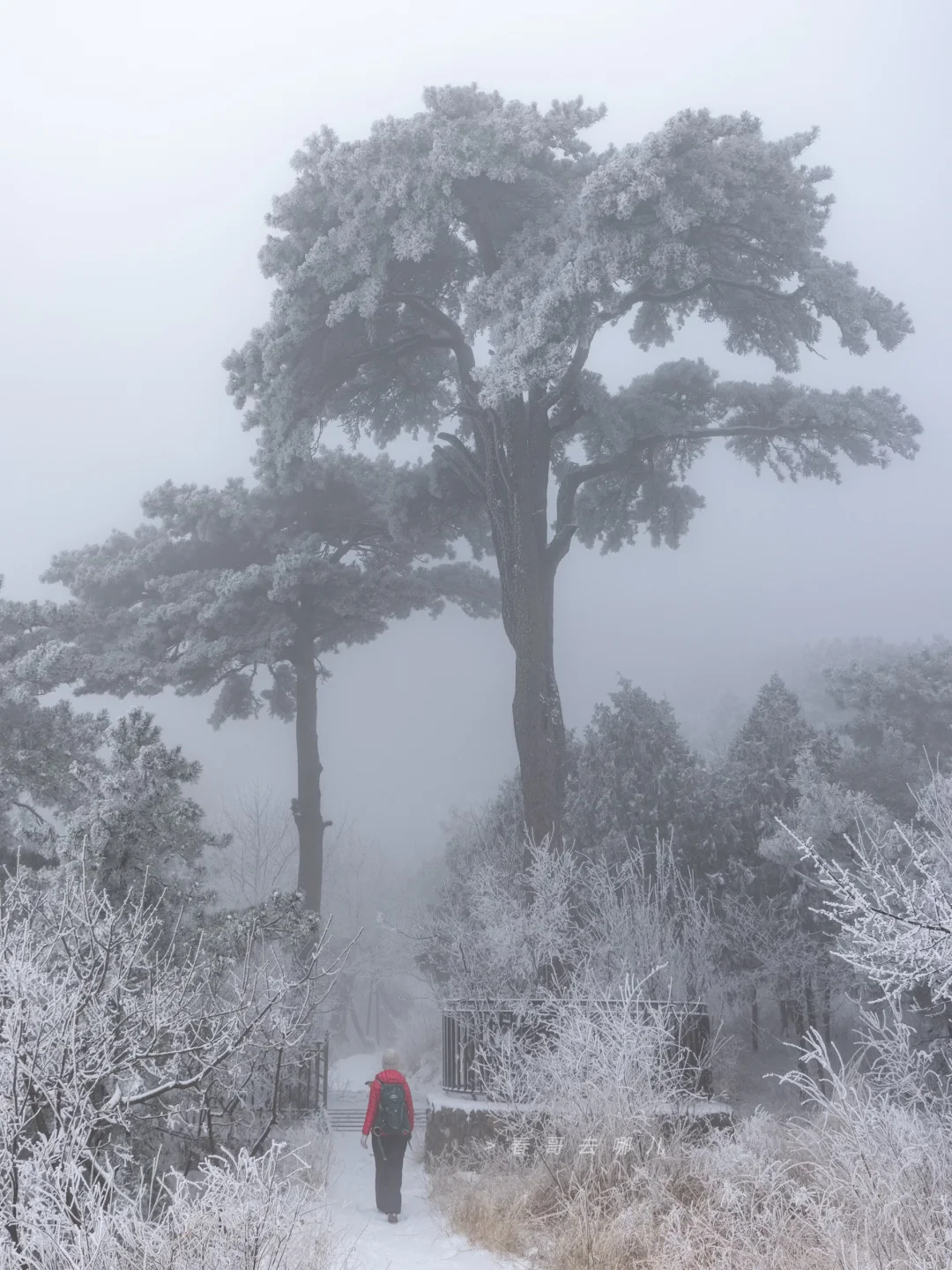下雪的妙峰山古香道，是封神级京郊徒步路线
