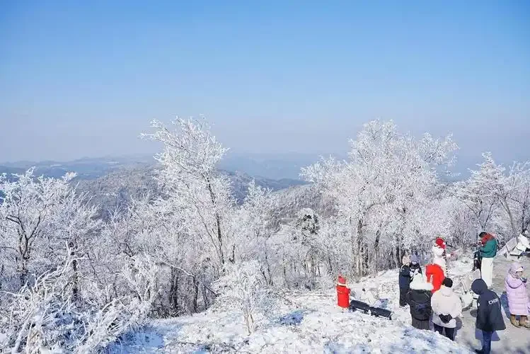 爆火！浙江天台华顶山现“玉树琼花”奇观