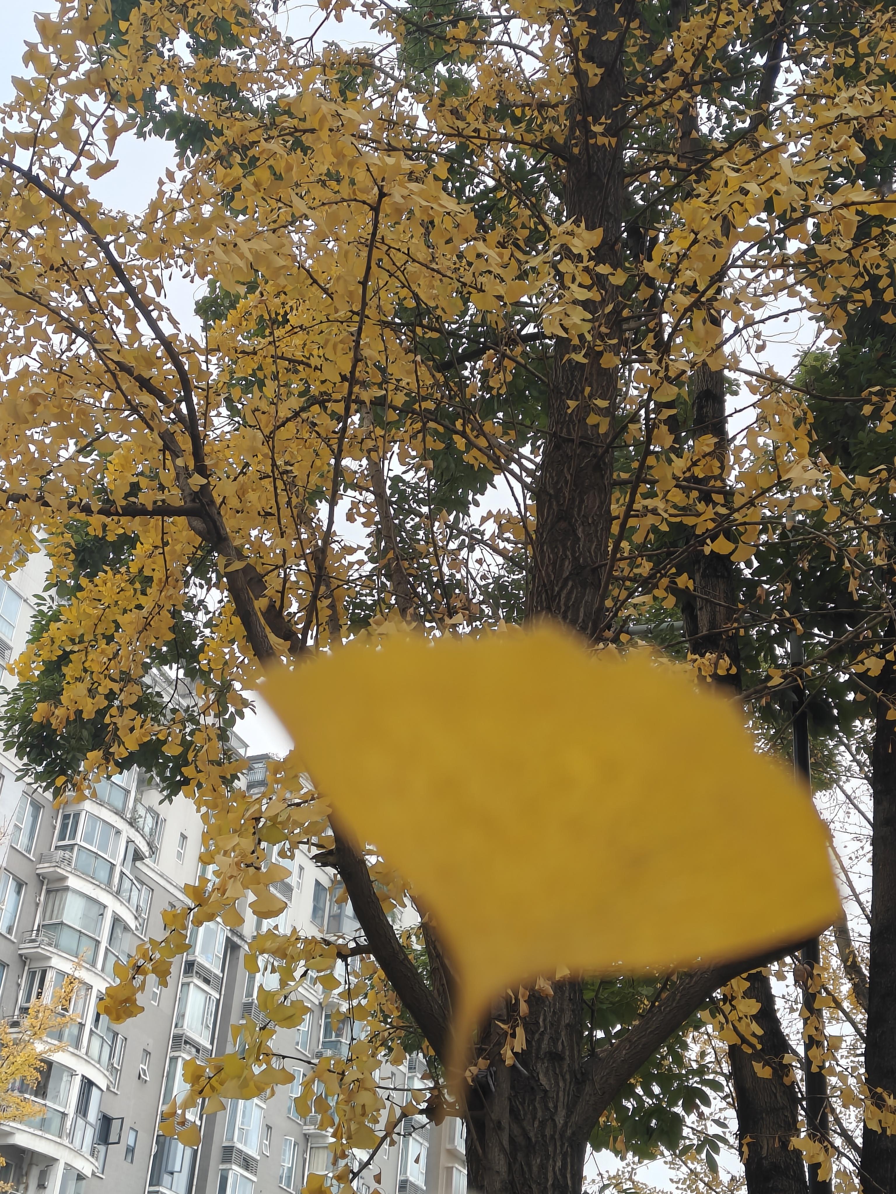 竟然突然想结婚了，大家分享一些恐婚小故事，让我清醒清醒吧🙏