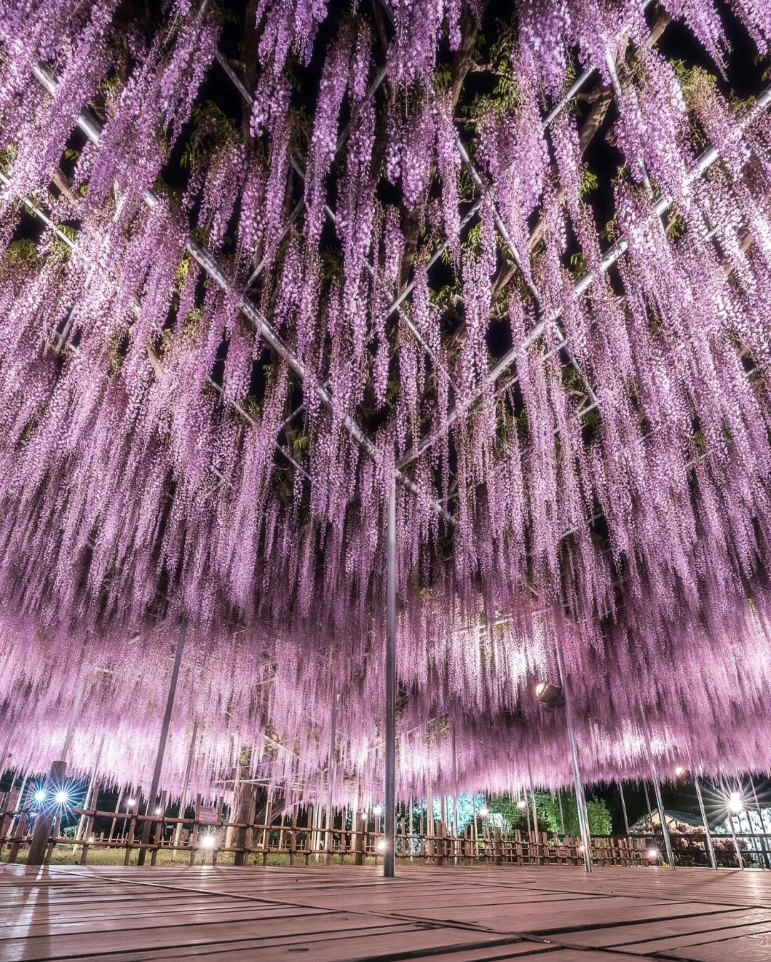 日本栃木县|日本唯一上榜全球十大梦想旅行
