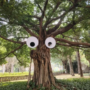 珠三角城市观察家