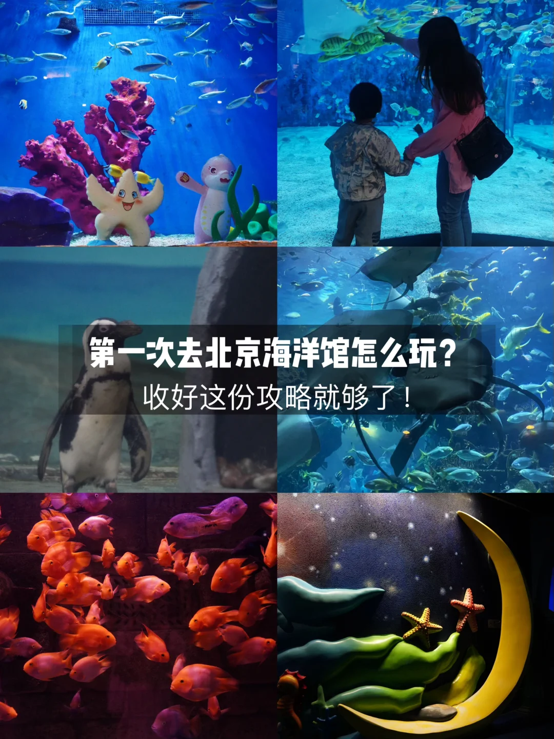 是谁还没去北京海洋馆！！附第一次游玩攻略