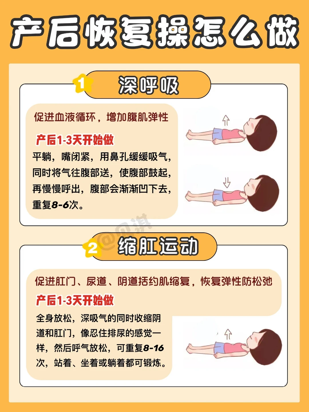 盆底肌修复黄金动作！十步解决产后漏尿！