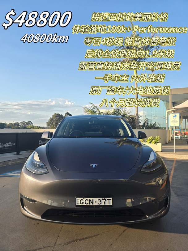 高性能旗舰版丨2023 特斯拉 Model Y 长牌费
