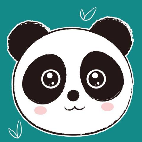 成都条条通