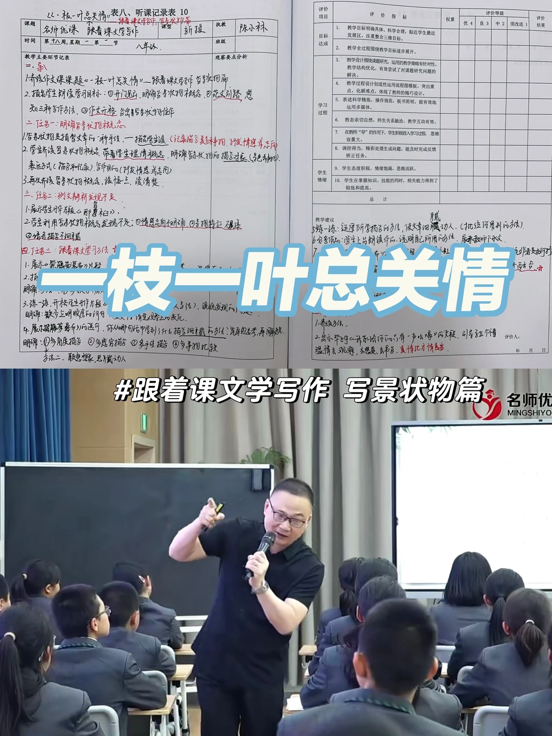 名师课堂：一枝一叶总关情🌿 看到了进来学🥹