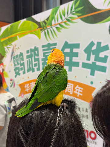 续<br /><br />第四年看荔湾湖的荷花🪷