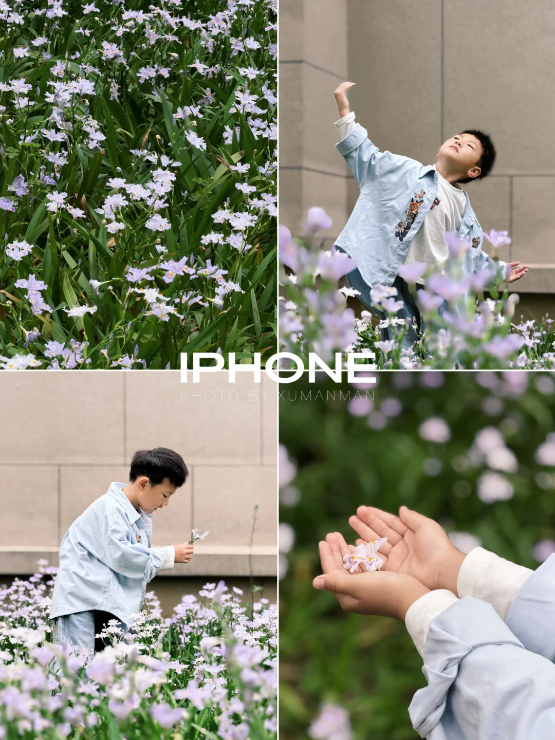 iPhone📱｜“花海和你，都是我的浪漫”🌸