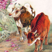 广东书豪养家