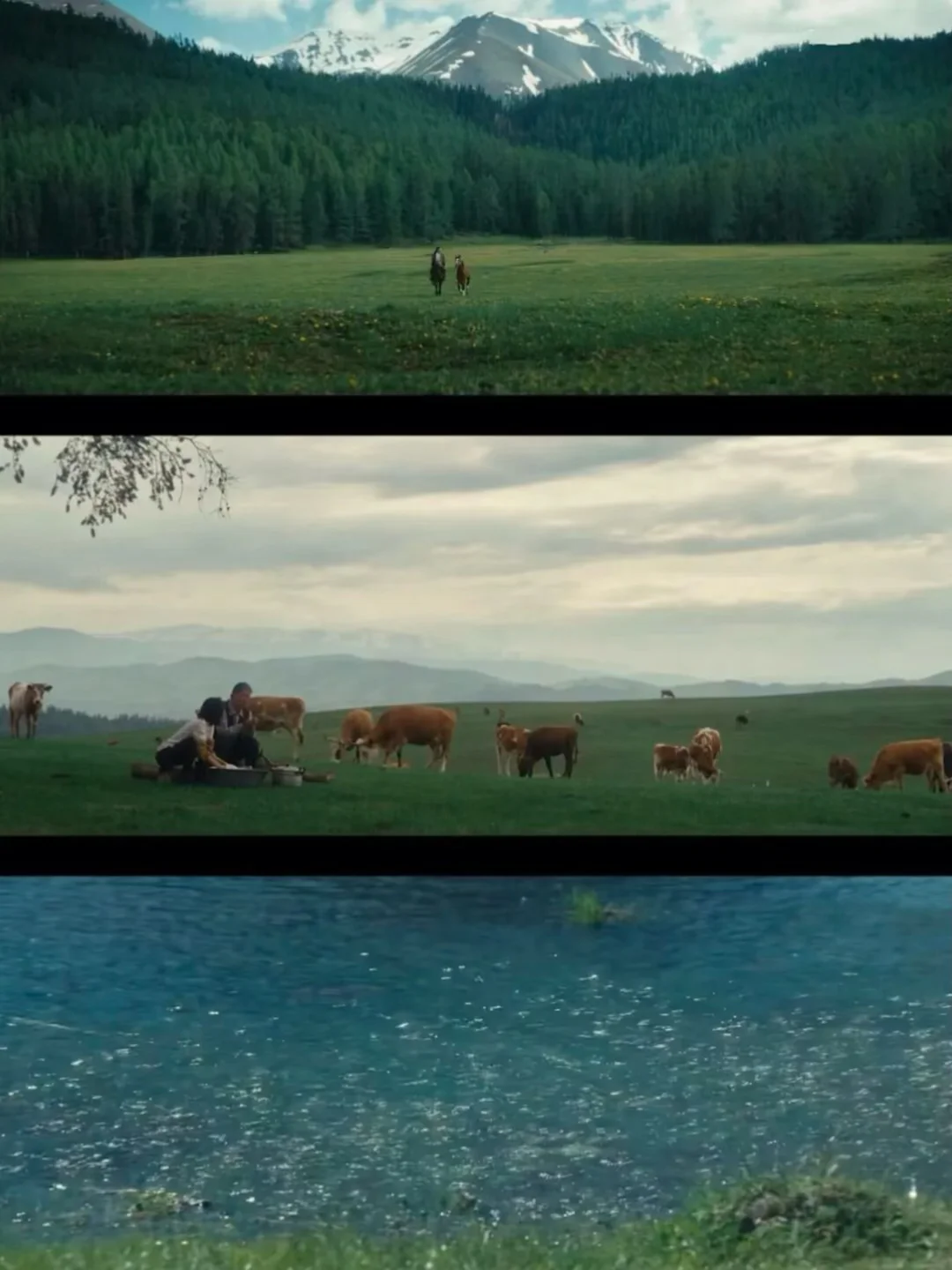 抠了一辈子的李娟，把480万稿费全捐了，就为睡个好觉？ 	 真的被李娟...