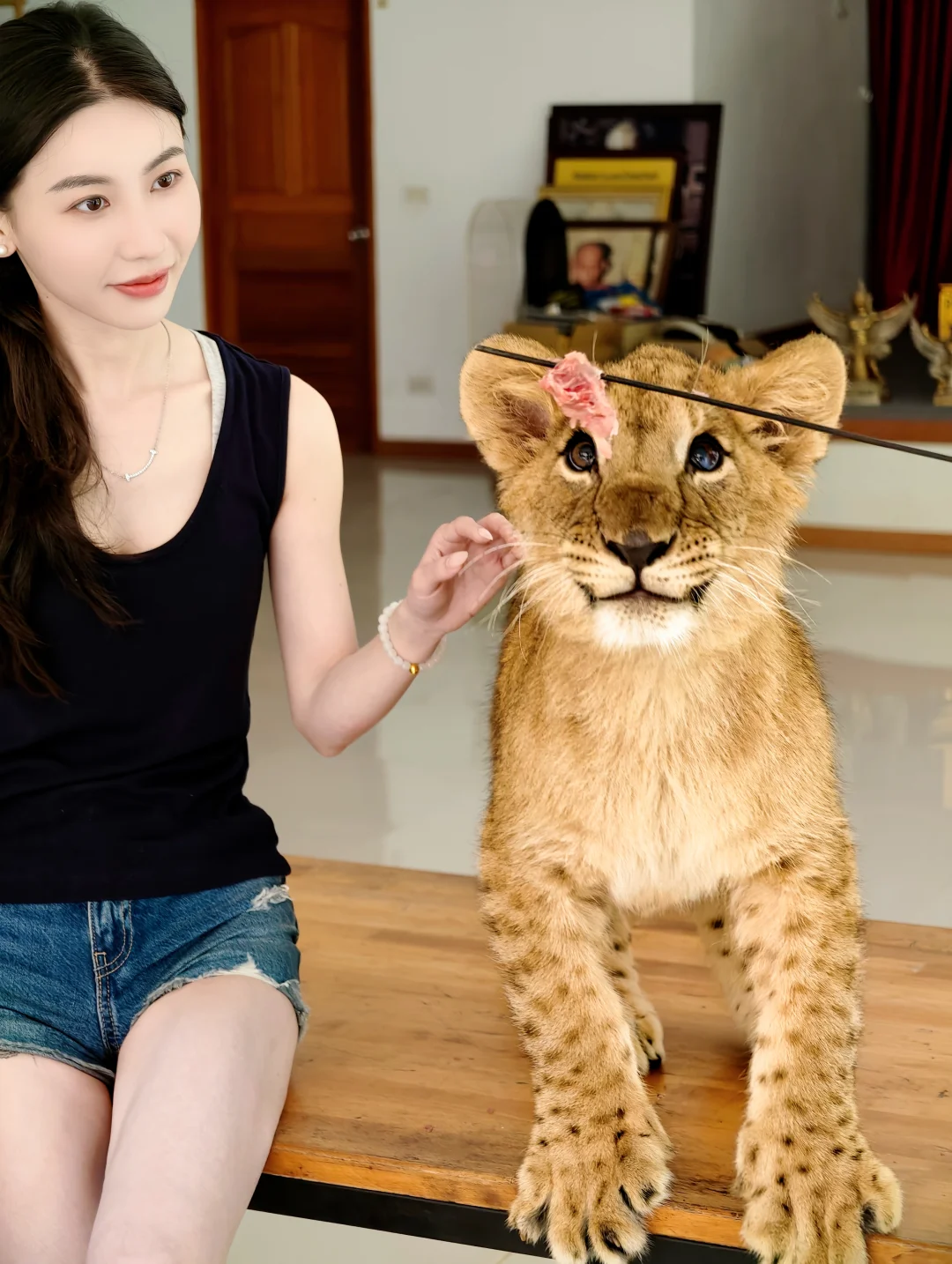 在清迈住到了人生野奢酒店