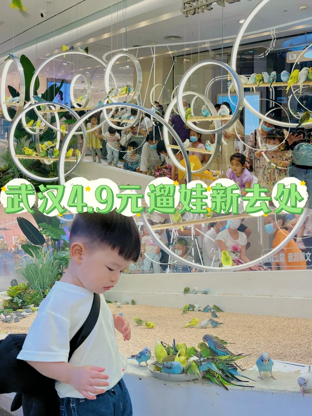 武汉遛娃第6️⃣0️⃣站—武汉鸟局免费送鹦鹉啦