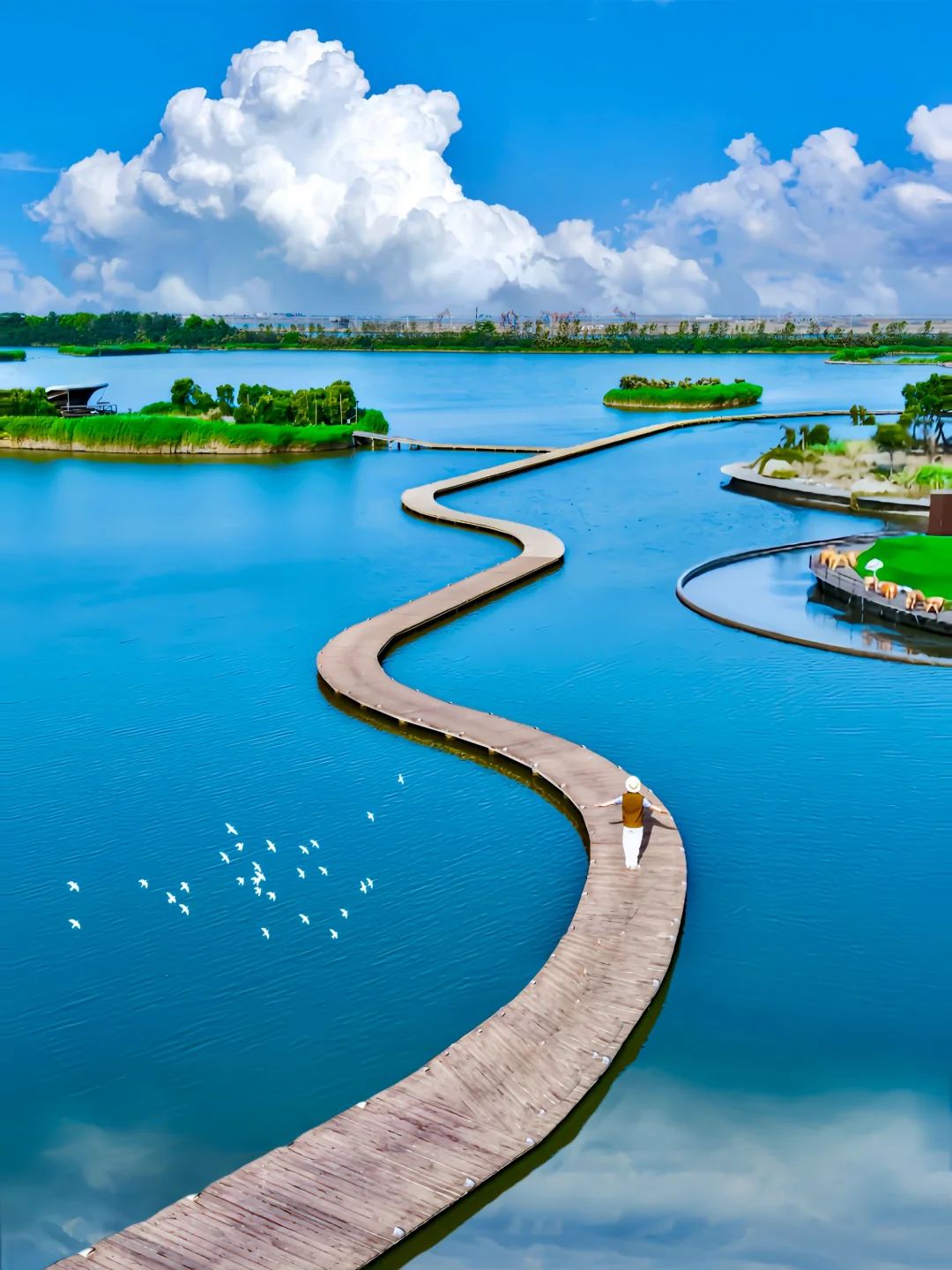 今年去过最舒服的海边小城，真的好怕它火🥹