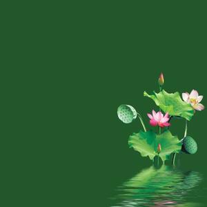 忠实可靠说热度