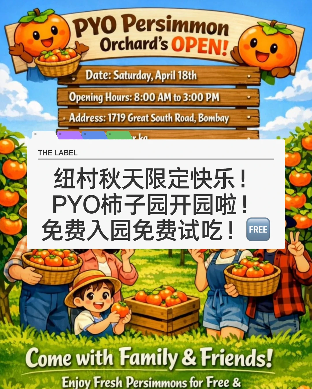 🇳🇿秋日限定的快乐！纽村PYO柿子园开放！