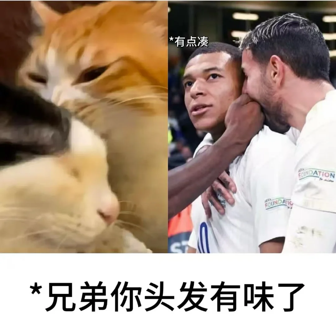 溅射蹴鞠男动物塑表情包中！