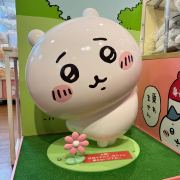 迪迪聊足球