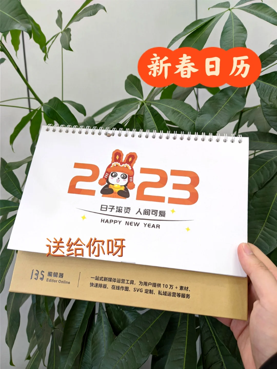 135编辑器新春日历来咯📚薯送给你！