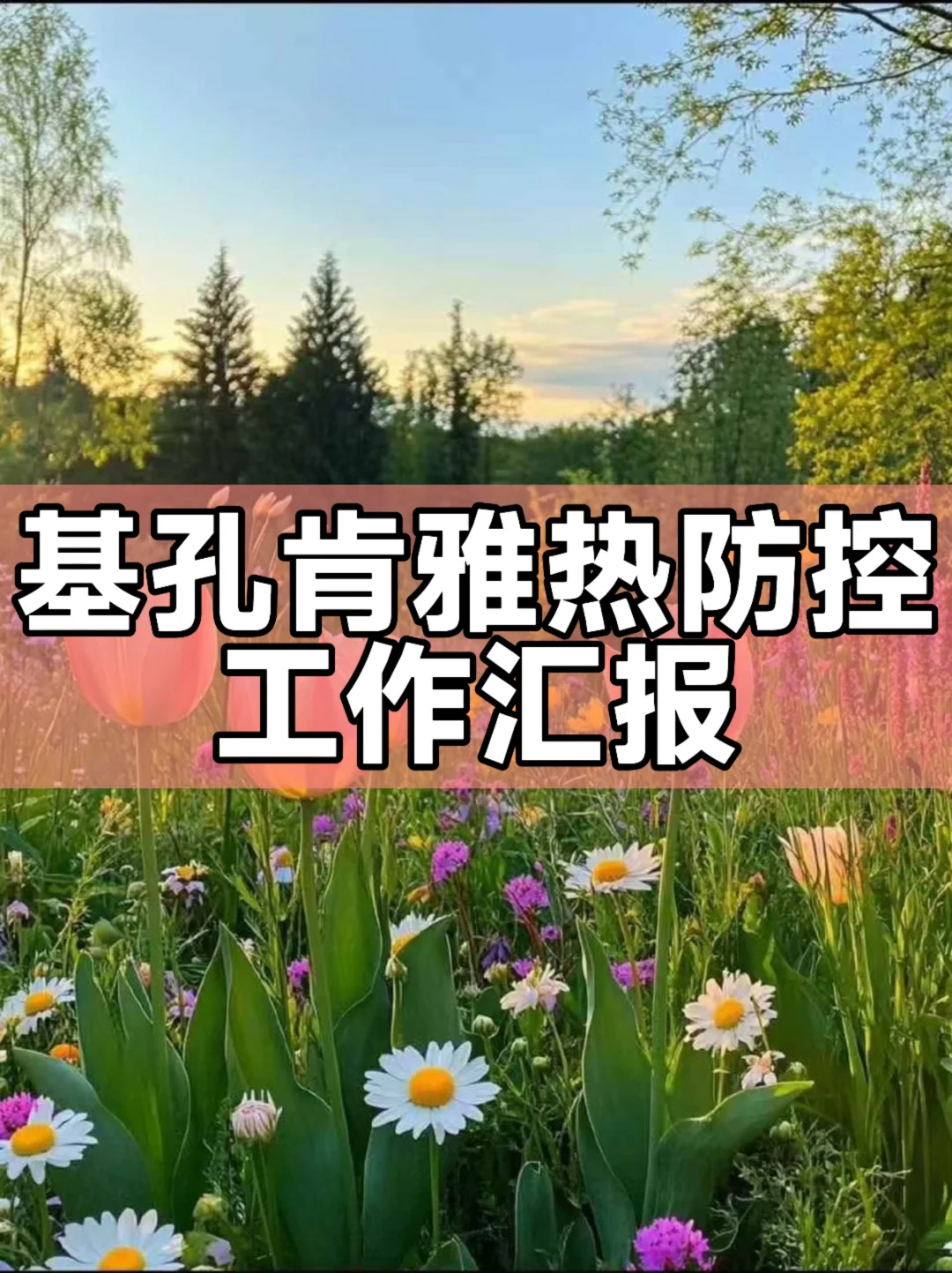 体制内：基孔肯雅热防控工作汇报