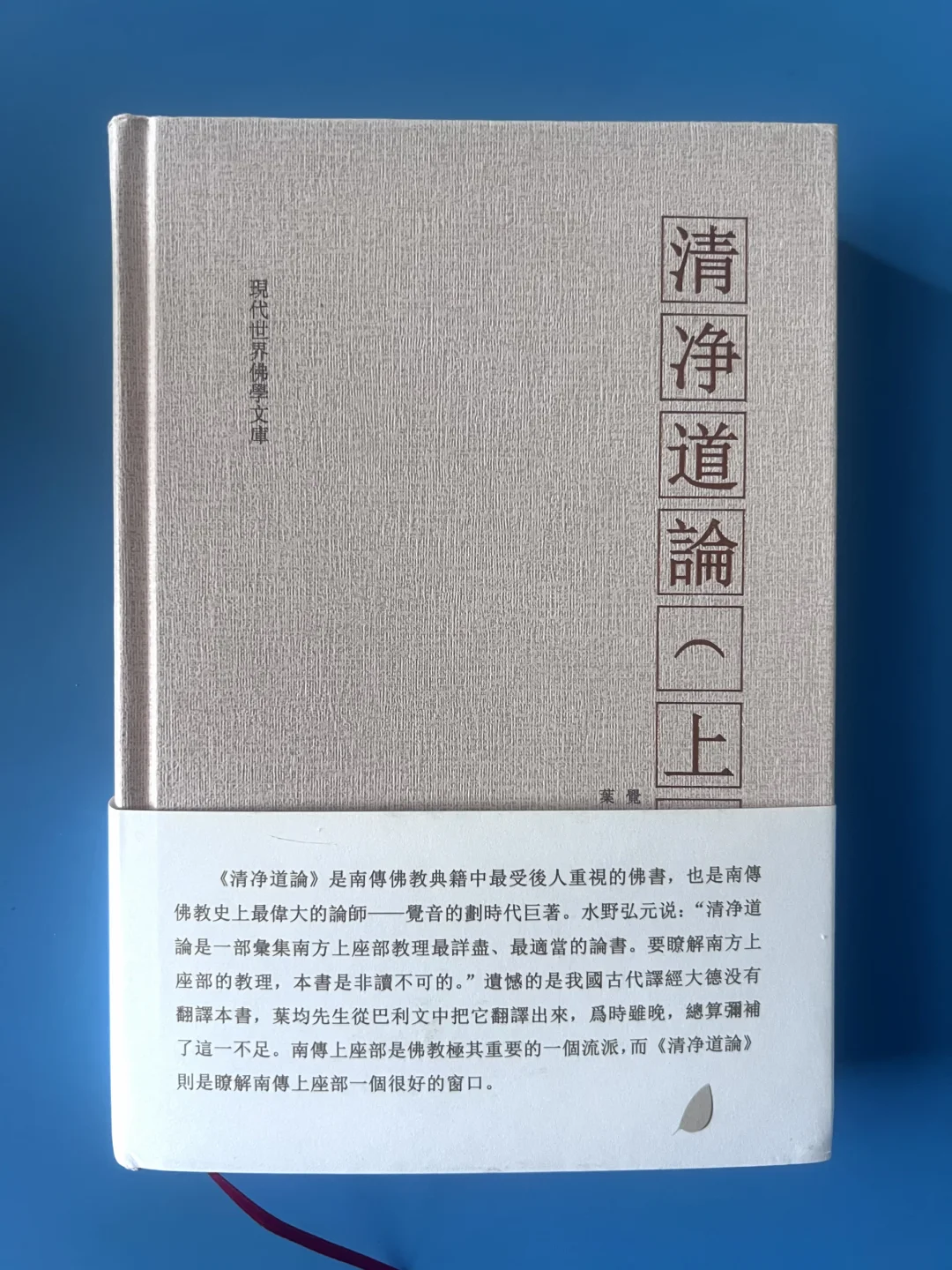 一部令人吃惊的南传佛教经典《清净道论》